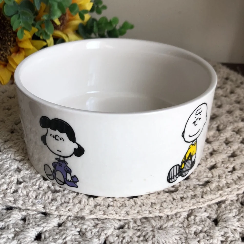 Peanuts Character Ceramic PET Bowl